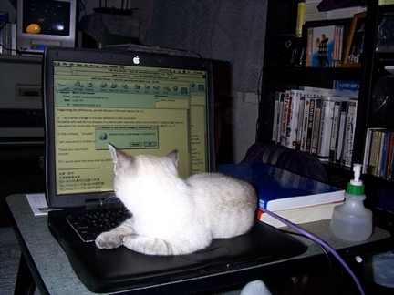 Mac Checks Mac