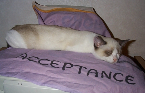 Acceptance