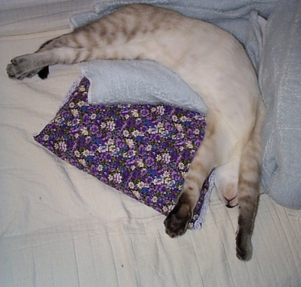 Ballet Sleeper #2