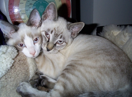 Brothers Together
