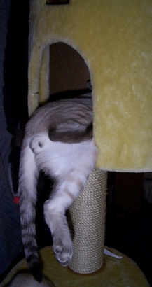 Butt Out!