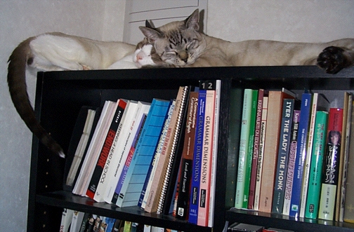 Sleeping Bookends