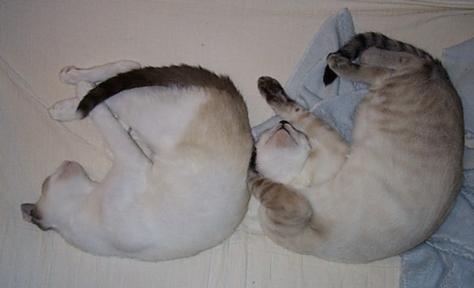 Sleeping in Circles