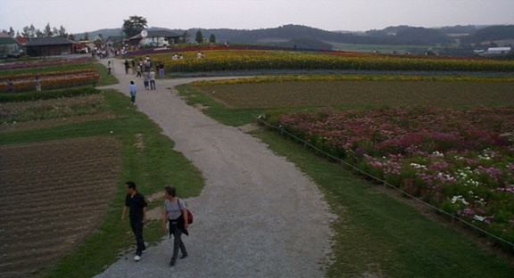 Walking through Flowerland