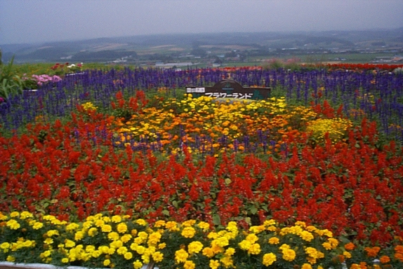 FlowerLand Furano