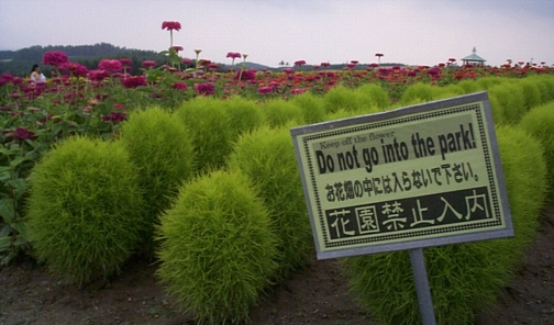 Keep Off the Flower