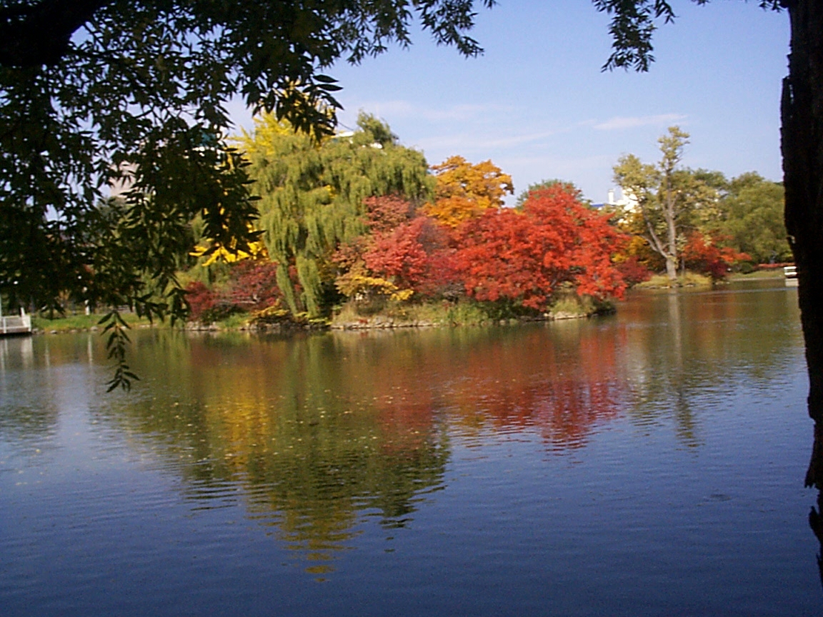 Nakajima Park Lake in October