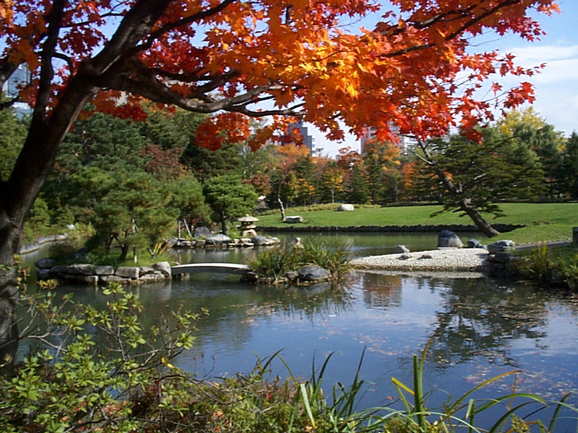 Nakajima Park Pond in October