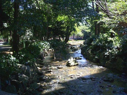 Kamokamo River
