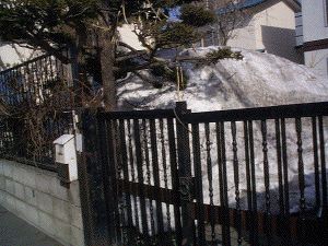 April Snow