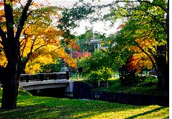 Fall Bridge